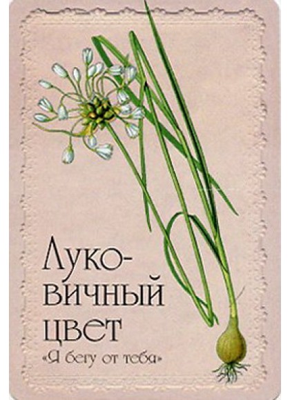 Оракул «Селам или Язык Цветов»